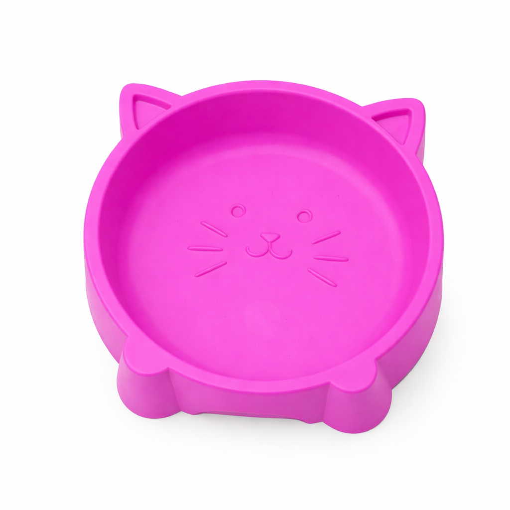 Colourful Cat Bowls