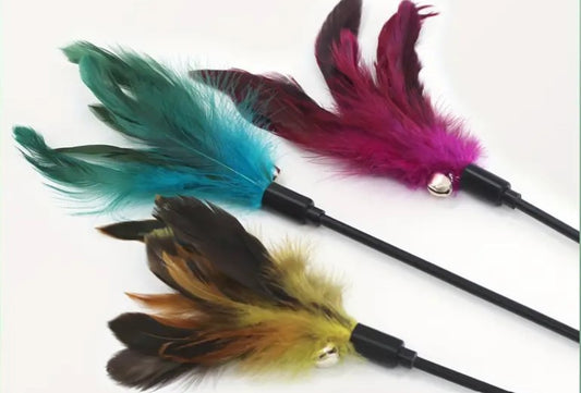 Feather Wand Teaser with Bell