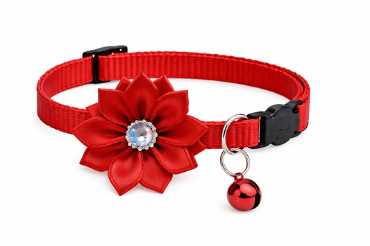 Floral Cat Collars