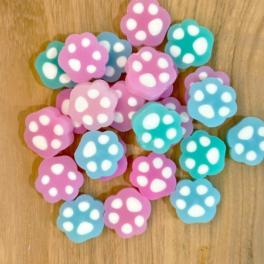 Paw Erasers - 6 Pack