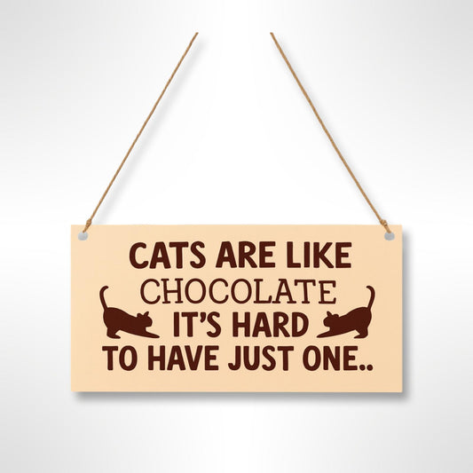 Novelty Acrylic Cat Signs